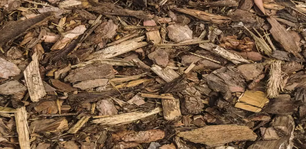 woodmulch